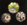 A set of three buttons decorated with detailed enamel floral motifsl